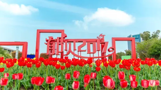 Tulip Theme Park