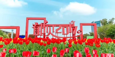 鬱金香主題公園