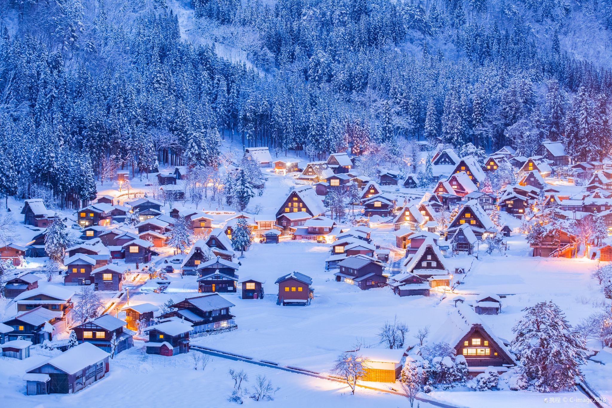 [Optional Hotel Pickup] Shirakawa-go Illumination 1-Day Tour [Exclusive Small Group Light Viewing]