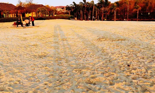 Yueliangwan Wetland Park