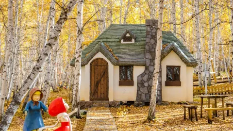 White Birch Forest Scenic Spot attraction in Ergun
