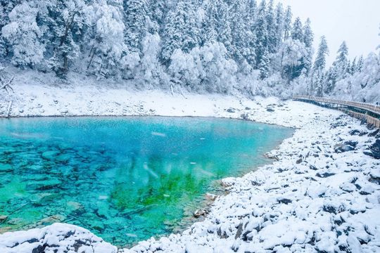 Five Coloured Pool