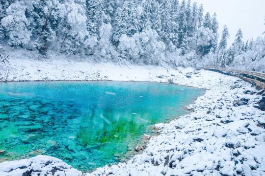 Five Coloured Pool