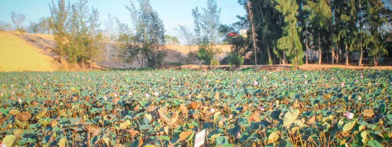 Bắc Bình DistrictTur Satu Hari