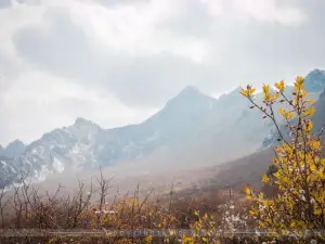 Maya Snow Mountain