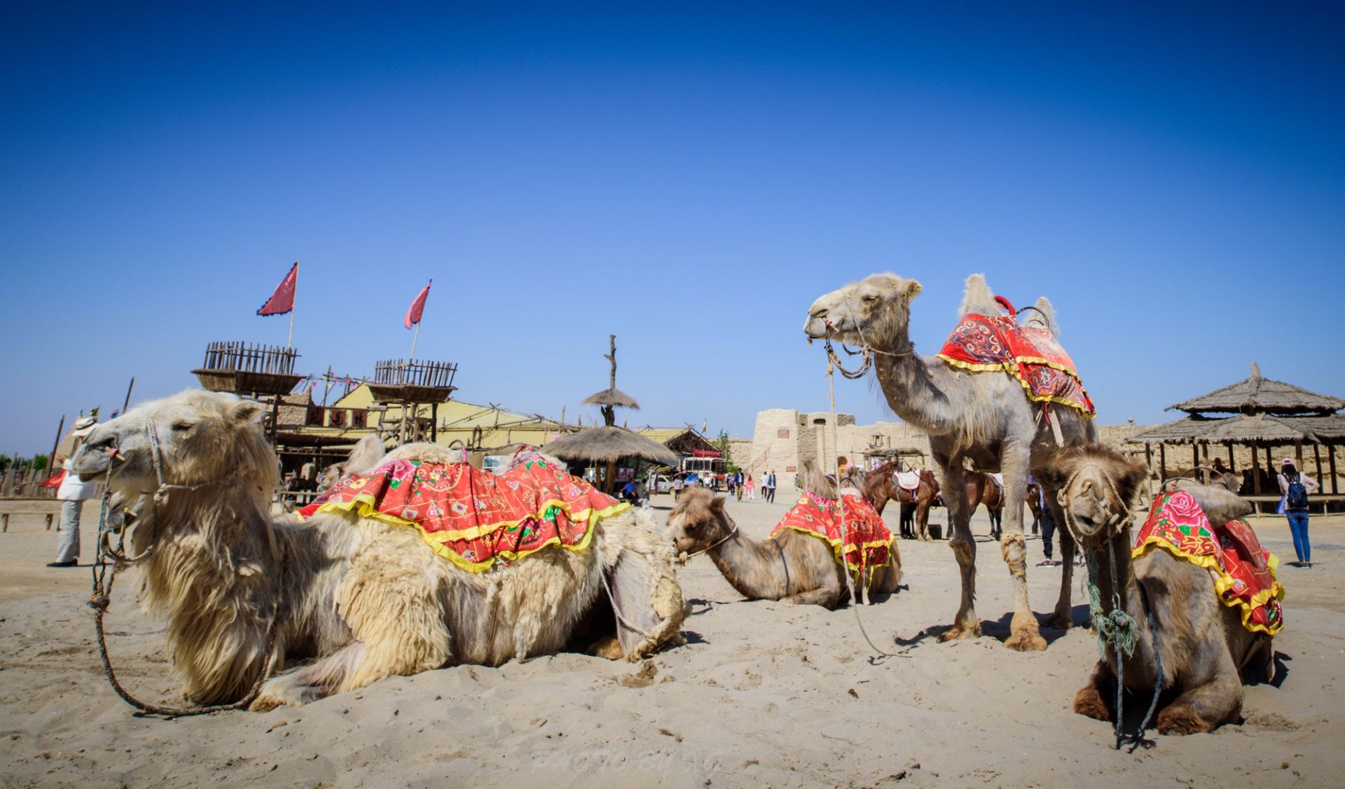2025 Yinchuan Travel Guide: Must-see attractions, popular food, hotels, transportation routes (updated in June)