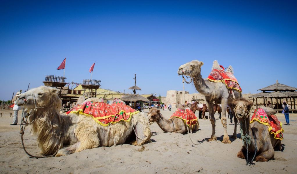 Phu Quoc Island to Yinchuan Flights