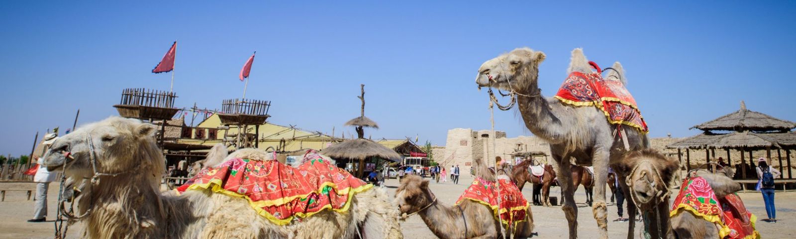 travel