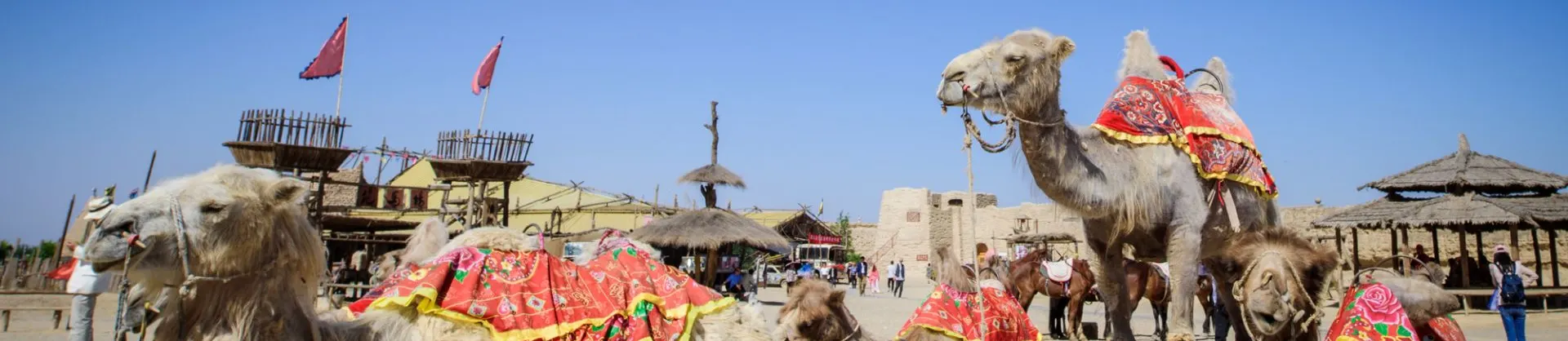 Family-Friendly Attractions