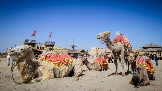 China West Film Studio