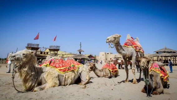 China West Film Studio