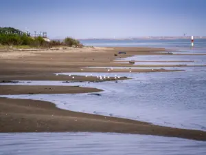 菩提島