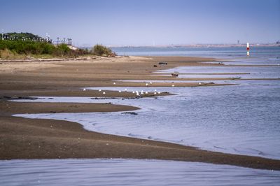 Puti Island