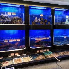 Emperor Court User Photo