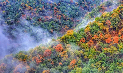 Dabie Mountains