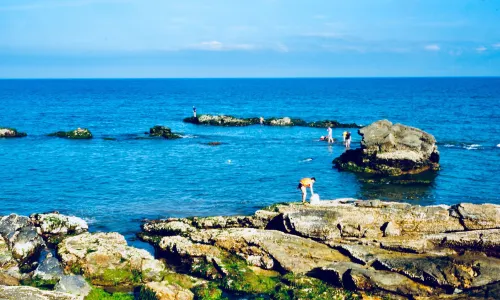 Beachcombing in HuiZhou