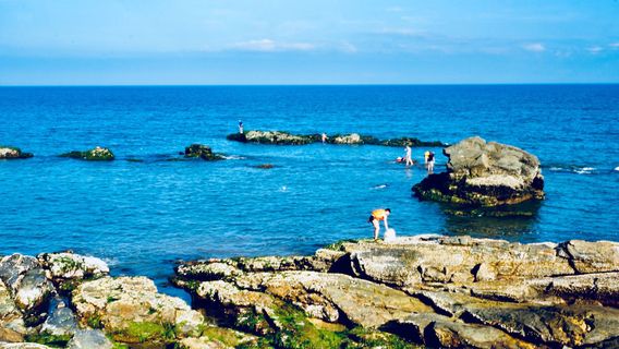 Beachcombing in HuiZhou