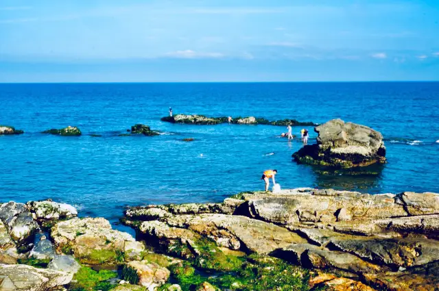 Beachcombing in HuiZhou