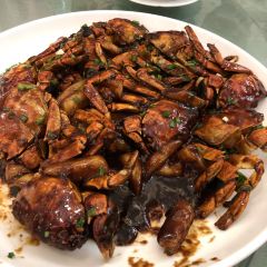 Xin Yuan SiFang Cai User Photo