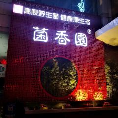 菌香园·野生菌火锅(吉大旗舰店) User Photo