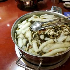 菌香园·野生菌火锅(吉大旗舰店) User Photo
