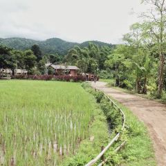 Brandnew Field Good User Photo