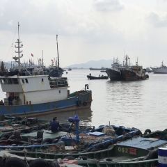 沈家门海鲜夜排档39-40号 User Photo