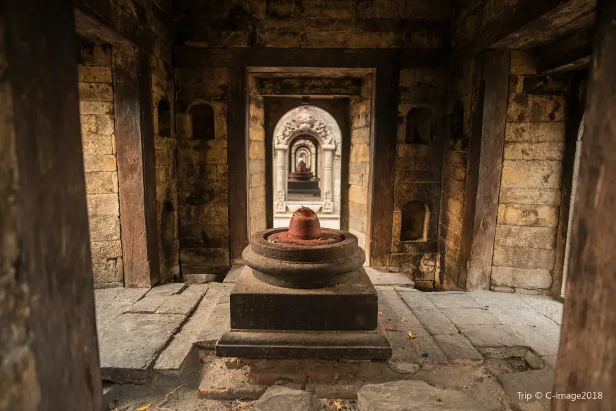 Temple de Pashupatinath