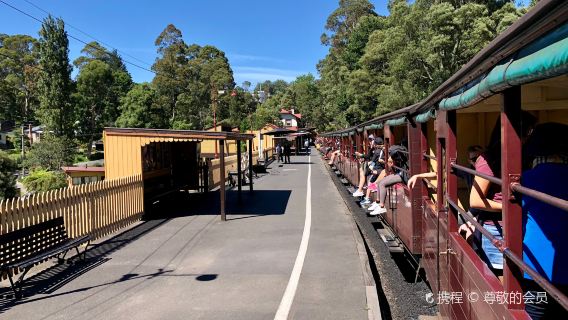 Kereta Api Wap Melbourne Puffing Billy dan Lawatan Sehari Pulau Penguin ke Pulau Phillip