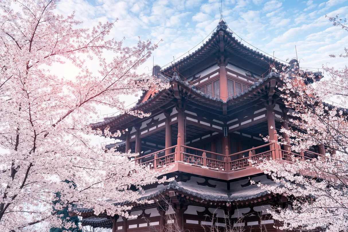4_청룡사(칭룽쓰)