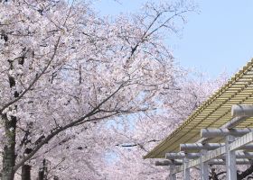 Hotel berhampiran Osaka Castle Main Tower