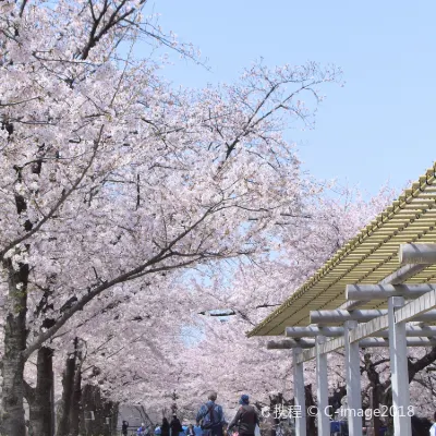 Отели рядом с достопримечательностью «Nishihama Suiheisha Hassho no Chi Monument»