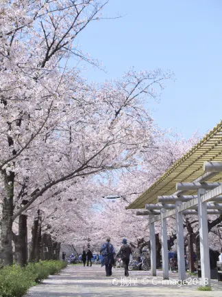 Hotels near Osaka Castle