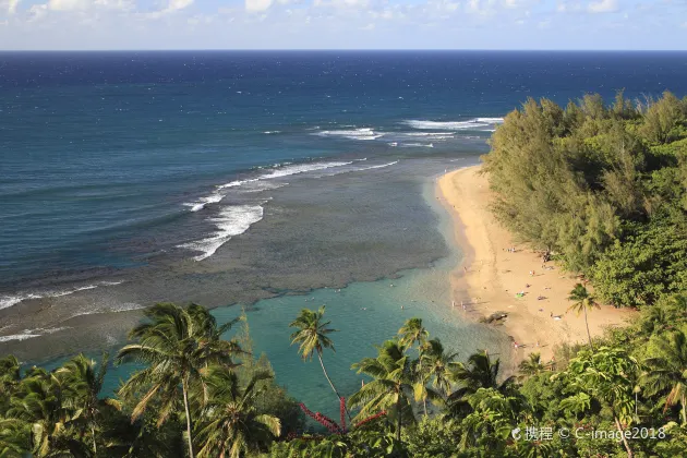 โรงแรมใกล้Princeville Botanical Gardens - Tours