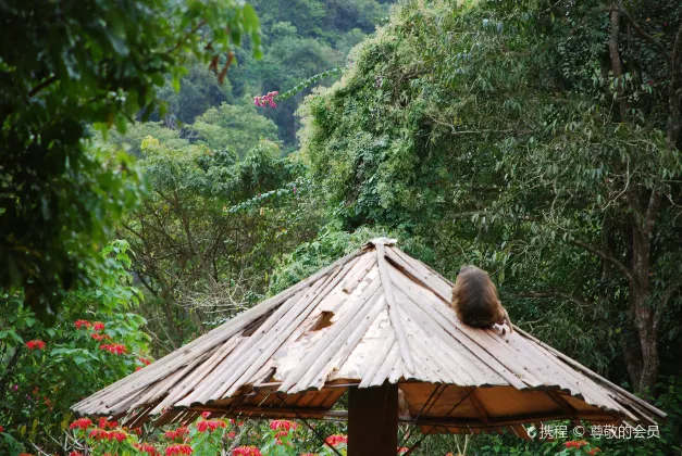 Xishuangbanna Qinglai designer hotel