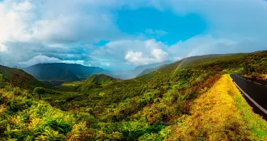 La Plaine Des Palmistes