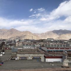 Amdo Norzen Tibetan Restaurant User Photo