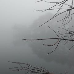 HUA JING SHI GUANG User Photo