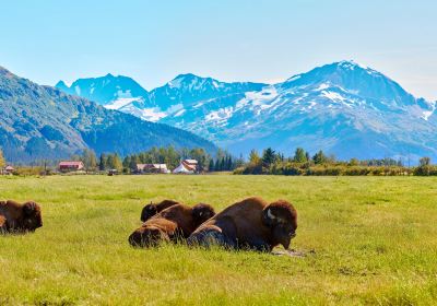 Anchorage