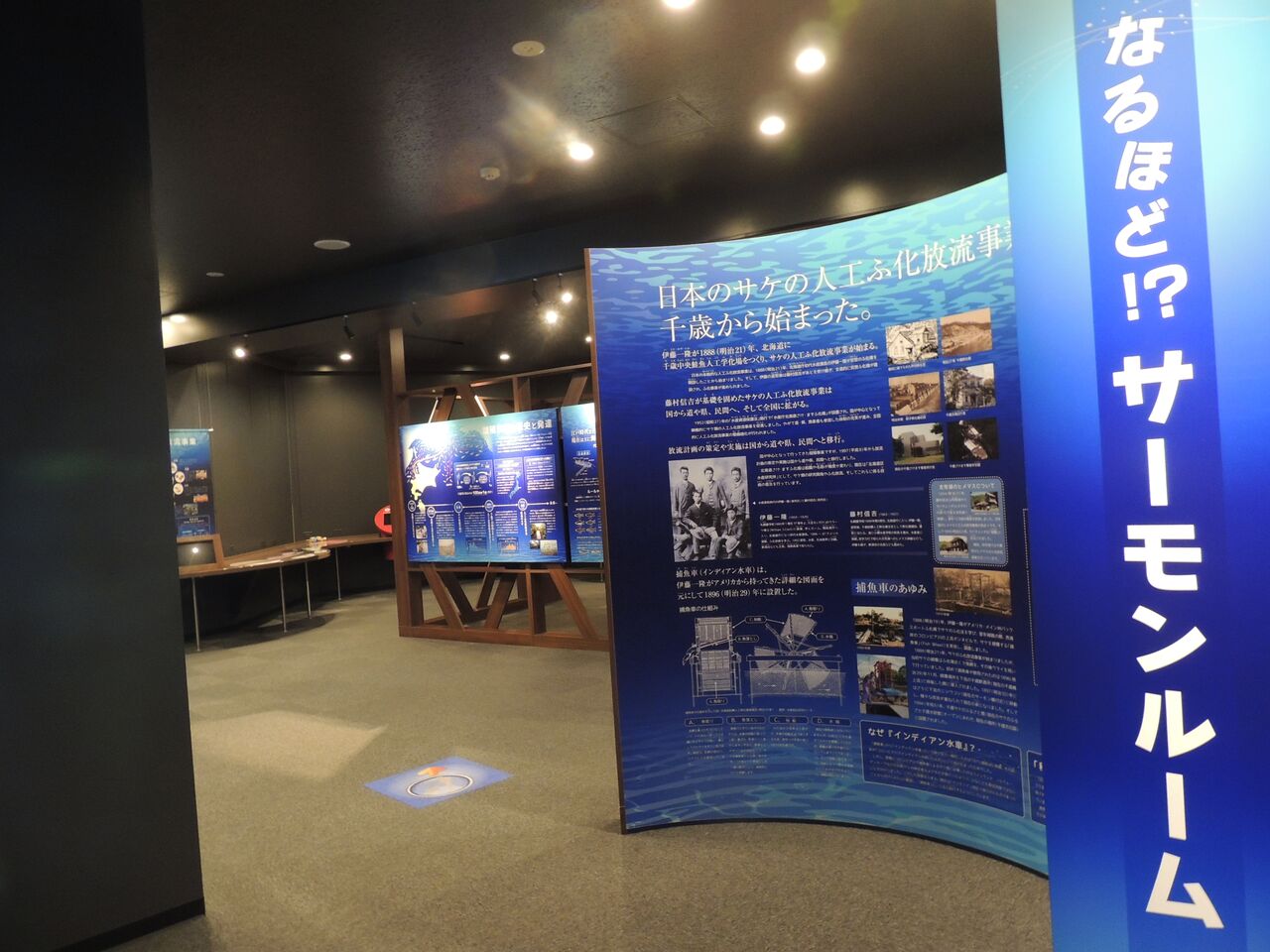 Chitose Salmon Aquarium Admission E-Ticket