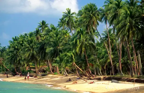 Vé máy bay Đảo Côn Đảo Koh Samui