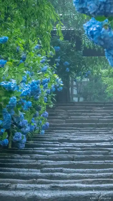 Hoteles cerca de Meigetsu-in