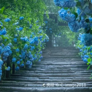明月院