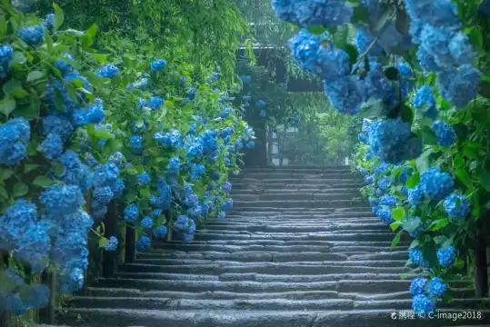 Hotel in zona Meigetsu-in