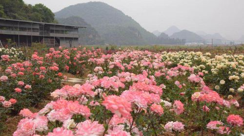 Puzhehei Rose Manor