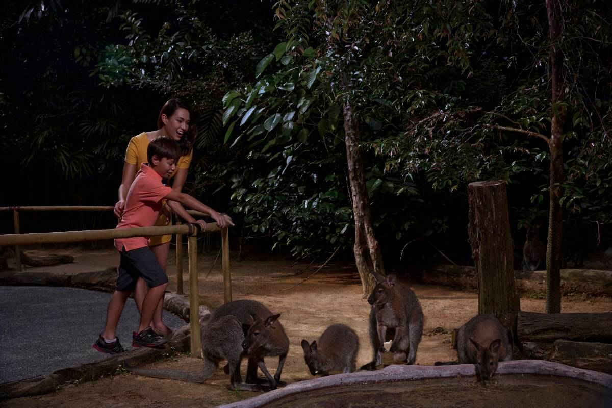 Singapore Night Safari