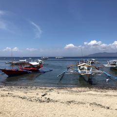 Big Apple Dive Resort張用戶圖片