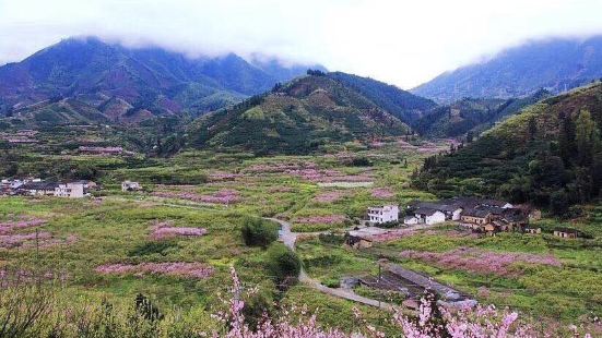 十里春风无限好，桃红李白尽妖娆，金鸡岭景色不错，风景宜人，感