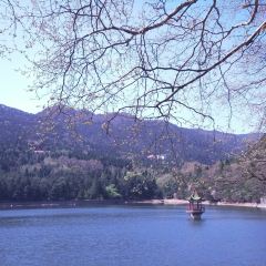 庐山华微国际度假酒店中餐厅 User Photo