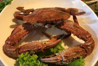 Thai Library User Photo